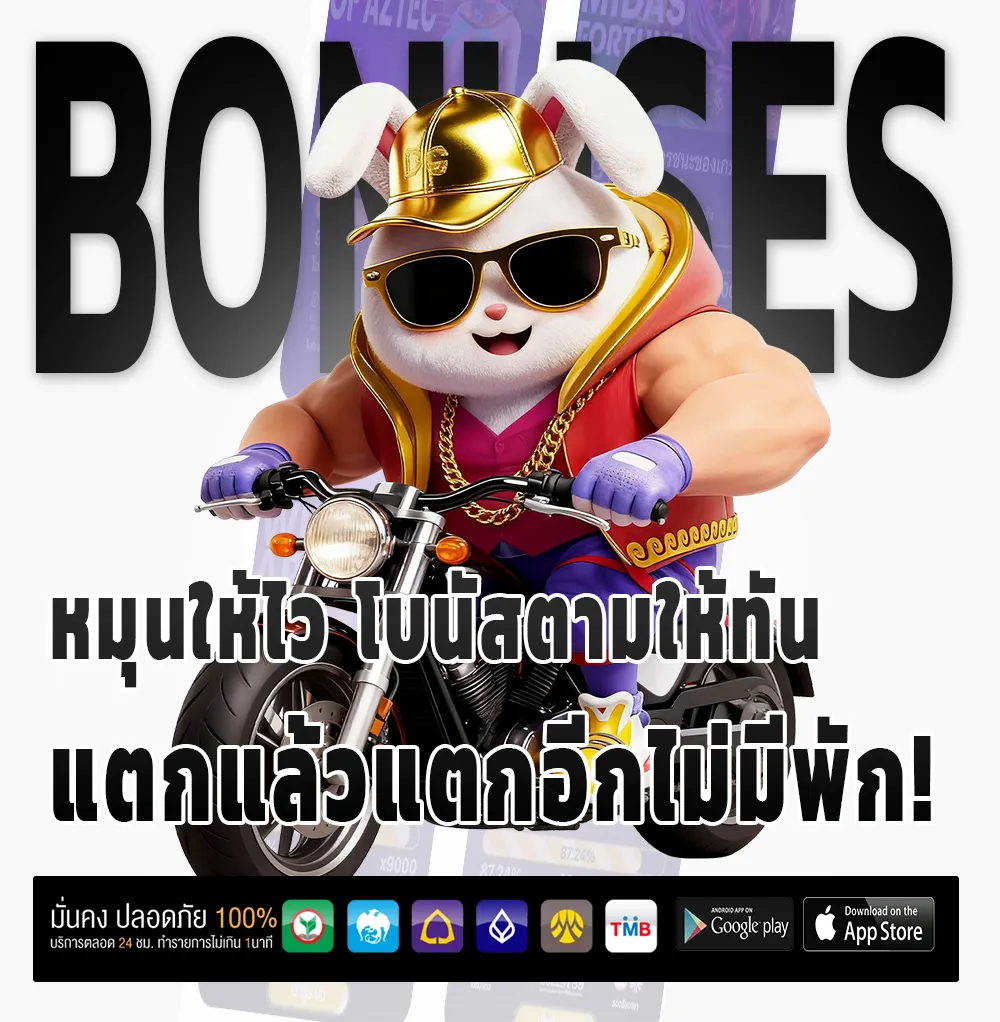k11 ครบทุกค่าย